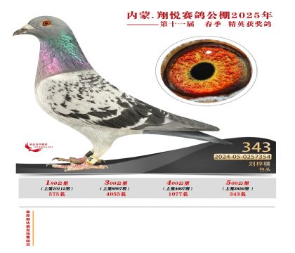 內(nèi)蒙古翔悅決賽343名