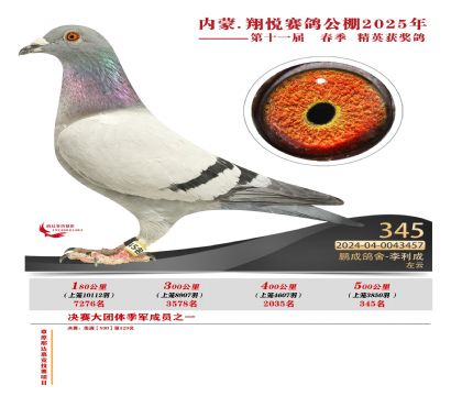 內(nèi)蒙古翔悅決賽345名