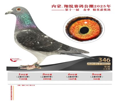 內(nèi)蒙古翔悅決賽346名
