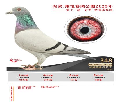 內(nèi)蒙古翔悅決賽348名