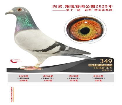 內(nèi)蒙古翔悅決賽349名