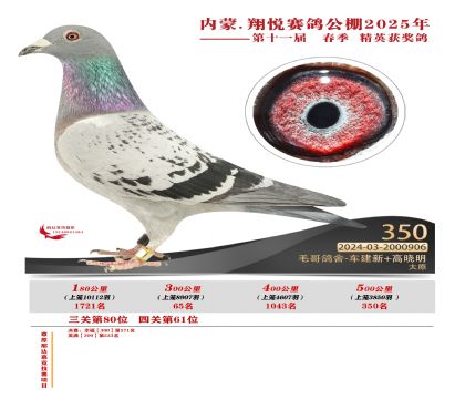 內(nèi)蒙古翔悅決賽350名