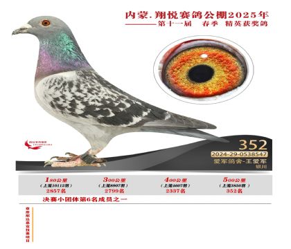 內(nèi)蒙古翔悅決賽352名