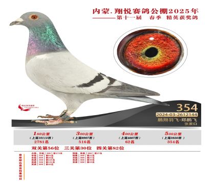 內(nèi)蒙古翔悅決賽354名