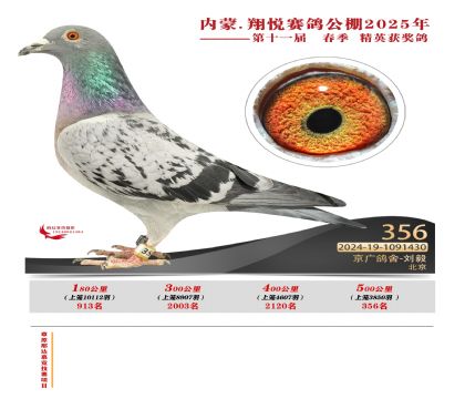 內(nèi)蒙古翔悅決賽356名