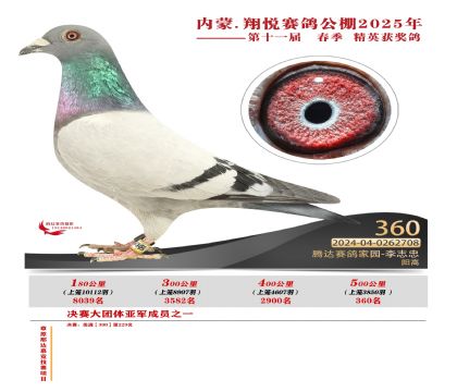 內(nèi)蒙古翔悅決賽360名