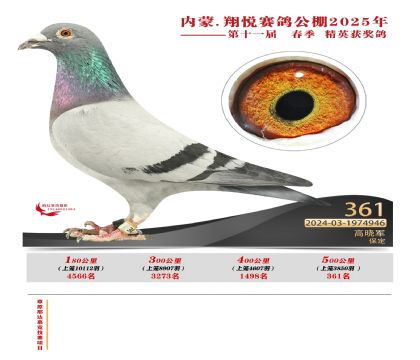 內(nèi)蒙古翔悅決賽361名