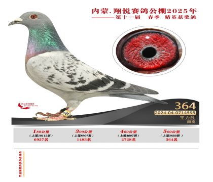 內(nèi)蒙古翔悅決賽364名