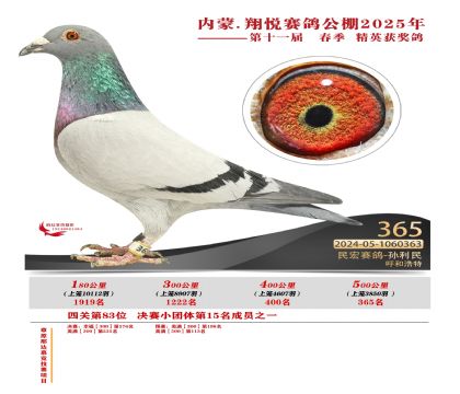 內(nèi)蒙古翔悅決賽365名