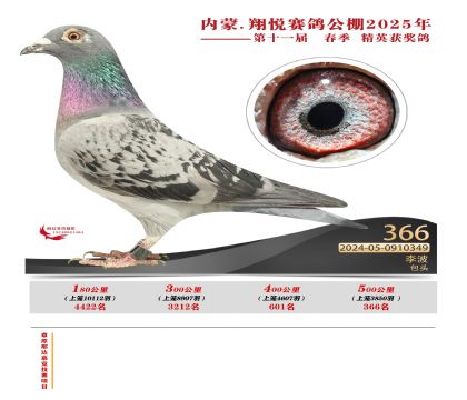 內(nèi)蒙古翔悅決賽366名