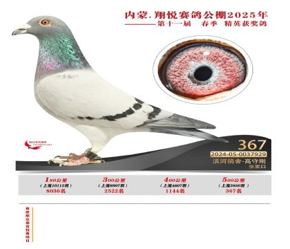 內(nèi)蒙古翔悅決賽367名