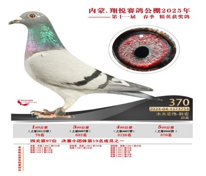 內(nèi)蒙古翔悅決賽370名
