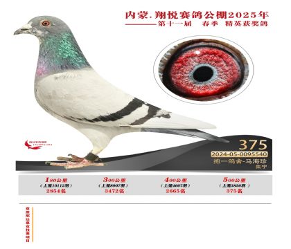 內(nèi)蒙古翔悅決賽375名
