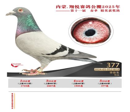 內(nèi)蒙古翔悅決賽377名