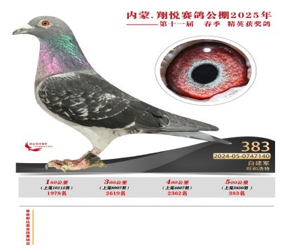 內(nèi)蒙古翔悅決賽383名
