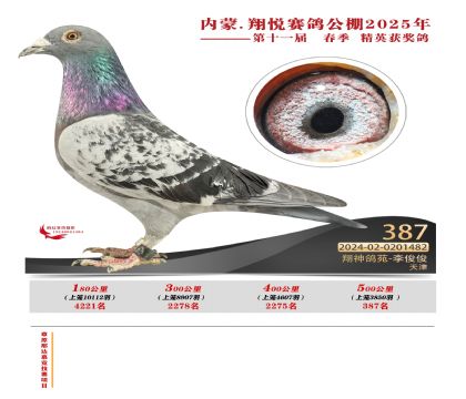 內(nèi)蒙古翔悅決賽387名