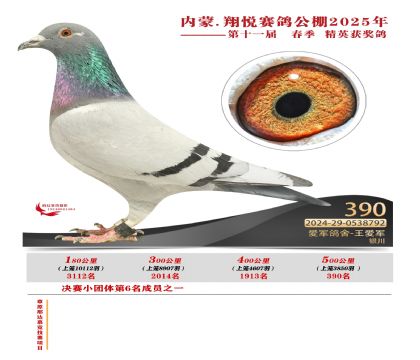 內(nèi)蒙古翔悅決賽390名