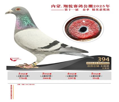內(nèi)蒙古翔悅決賽394名