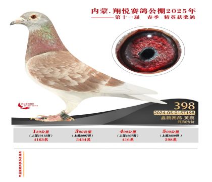 內(nèi)蒙古翔悅決賽398名