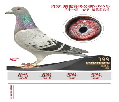 內(nèi)蒙古翔悅決賽399名