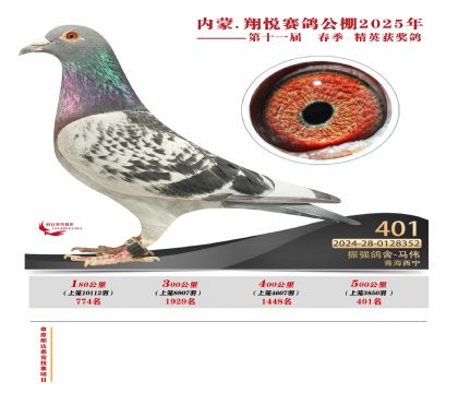 (ni)ɹ萂Qِ401