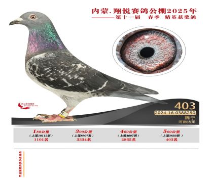 (ni)ɹ萂Qِ403