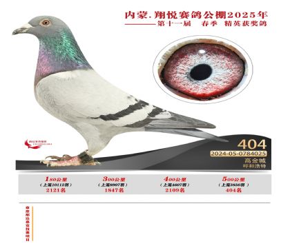 (ni)ɹ萂Qِ404