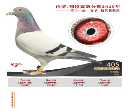 (ni)ɹ萂Qِ405