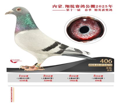 (ni)ɹ萂Qِ406