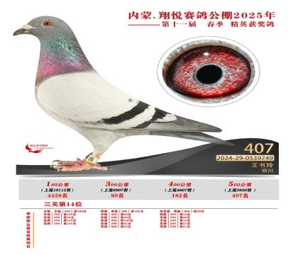 (ni)ɹ萂Qِ407