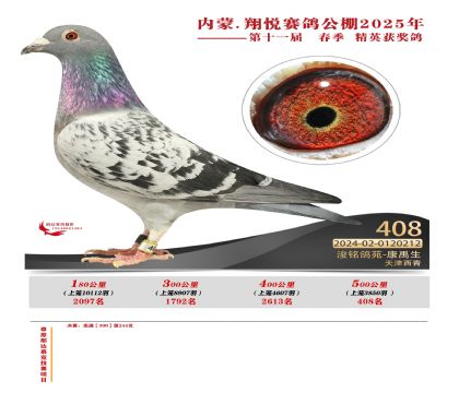 (ni)ɹ萂Qِ408