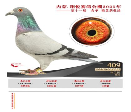 (ni)ɹ萂Qِ409