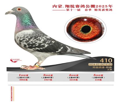 (ni)ɹ萂Qِ410