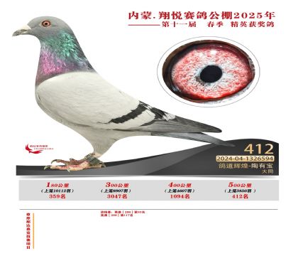 內(nèi)蒙古翔悅決賽412名