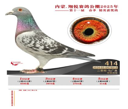 內(nèi)蒙古翔悅決賽414名