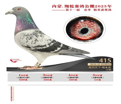 內(nèi)蒙古翔悅決賽415名
