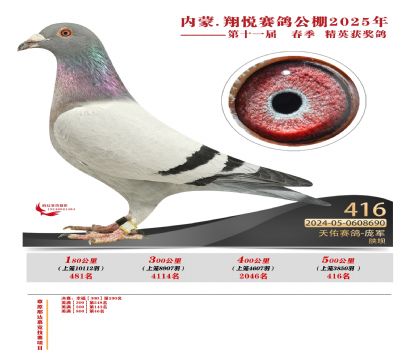 內(nèi)蒙古翔悅決賽416名
