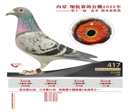 內(nèi)蒙古翔悅決賽417名