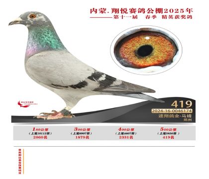 內(nèi)蒙古翔悅決賽419名