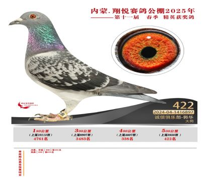 內(nèi)蒙古翔悅決賽422名
