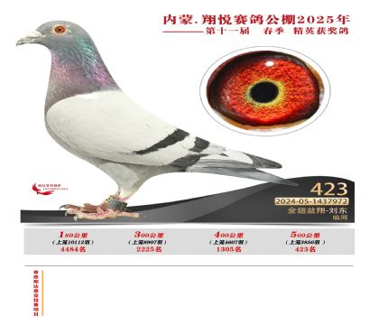 內(nèi)蒙古翔悅決賽423名