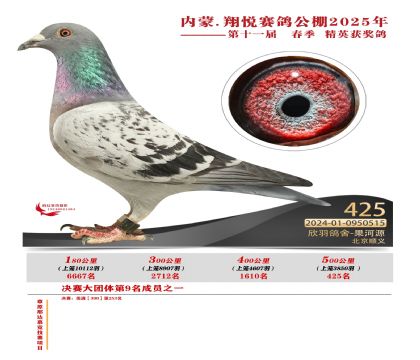 內(nèi)蒙古翔悅決賽425名