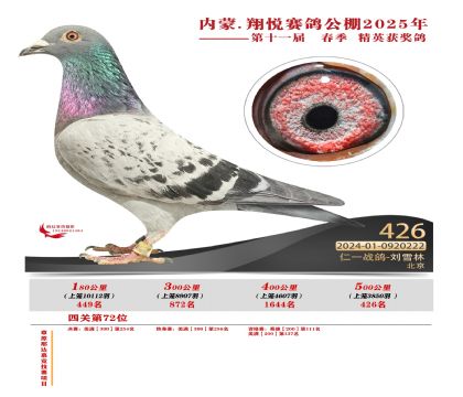 內(nèi)蒙古翔悅決賽426名