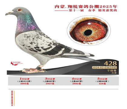 內(nèi)蒙古翔悅決賽428名
