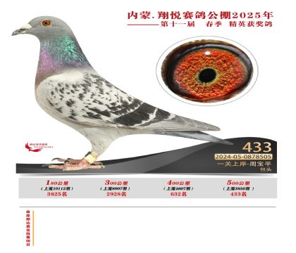 內(nèi)蒙古翔悅決賽433名