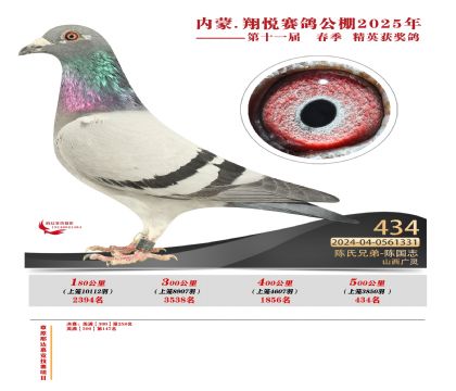 內(nèi)蒙古翔悅決賽434名