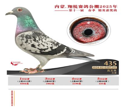 內(nèi)蒙古翔悅決賽435名