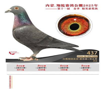 內(nèi)蒙古翔悅決賽437名
