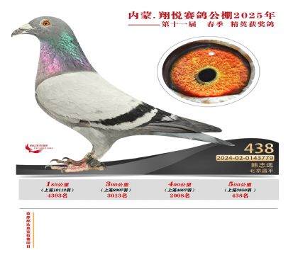 內(nèi)蒙古翔悅決賽438名