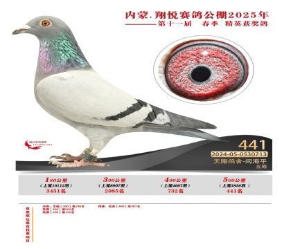內(nèi)蒙古翔悅決賽441名